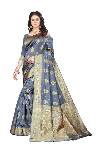 Pavitra - Gold embroided elegant grey Saree