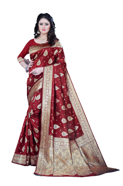 Pavitra – Eleganter kastanienbrauner Saree mit Goldstickerei